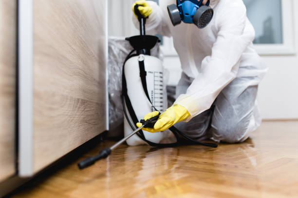 Best Flea Control Services  in Kings Mills, OH