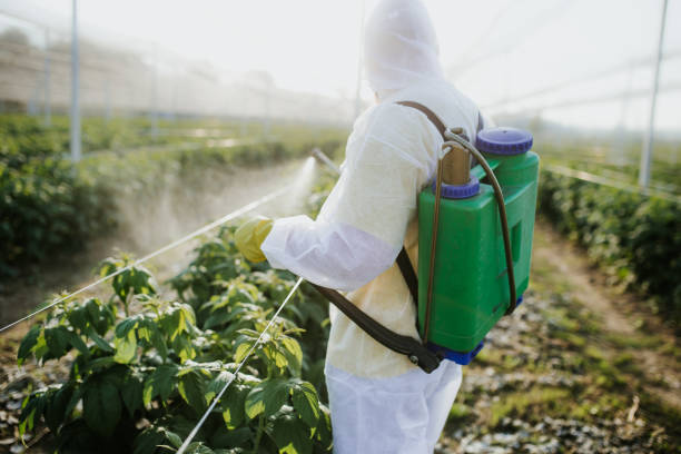 Best Pest Prevention Services  in Kings Mills, OH